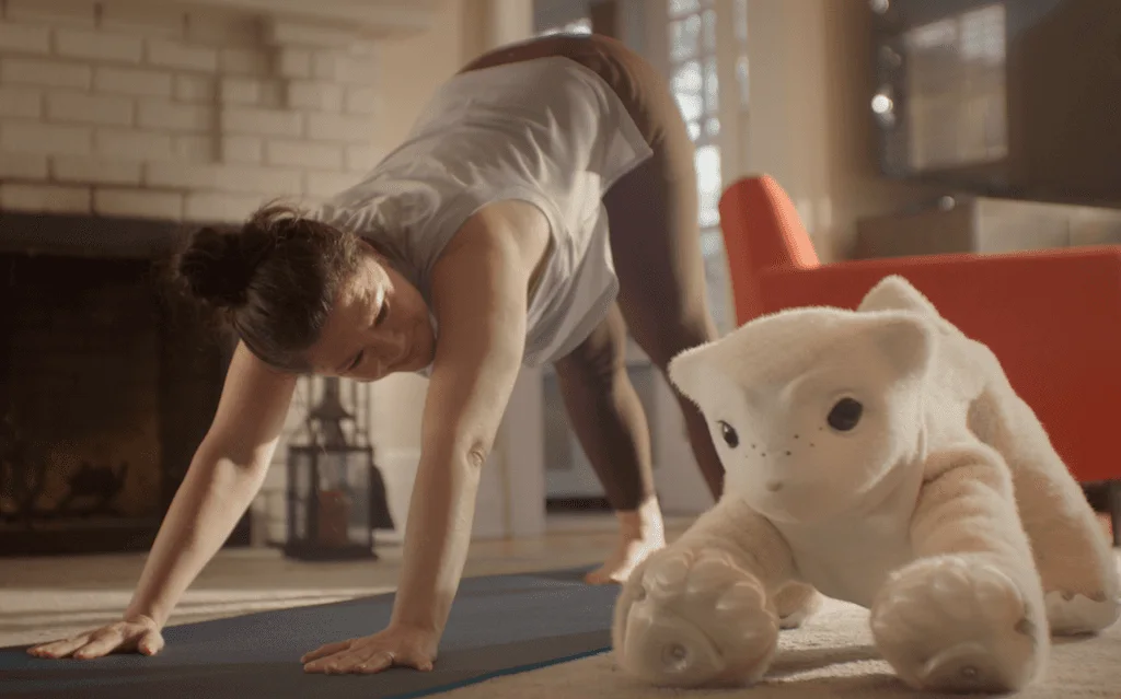 Familiar home robot routine support with on-device AI and privacy-focused companion behavior