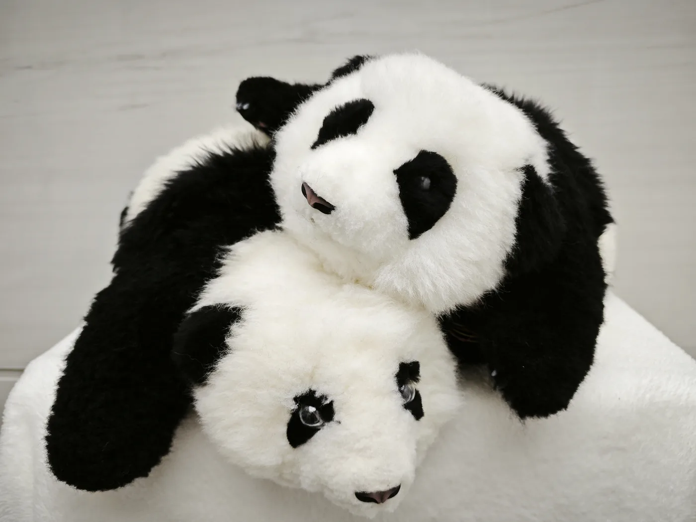 An'An Panda