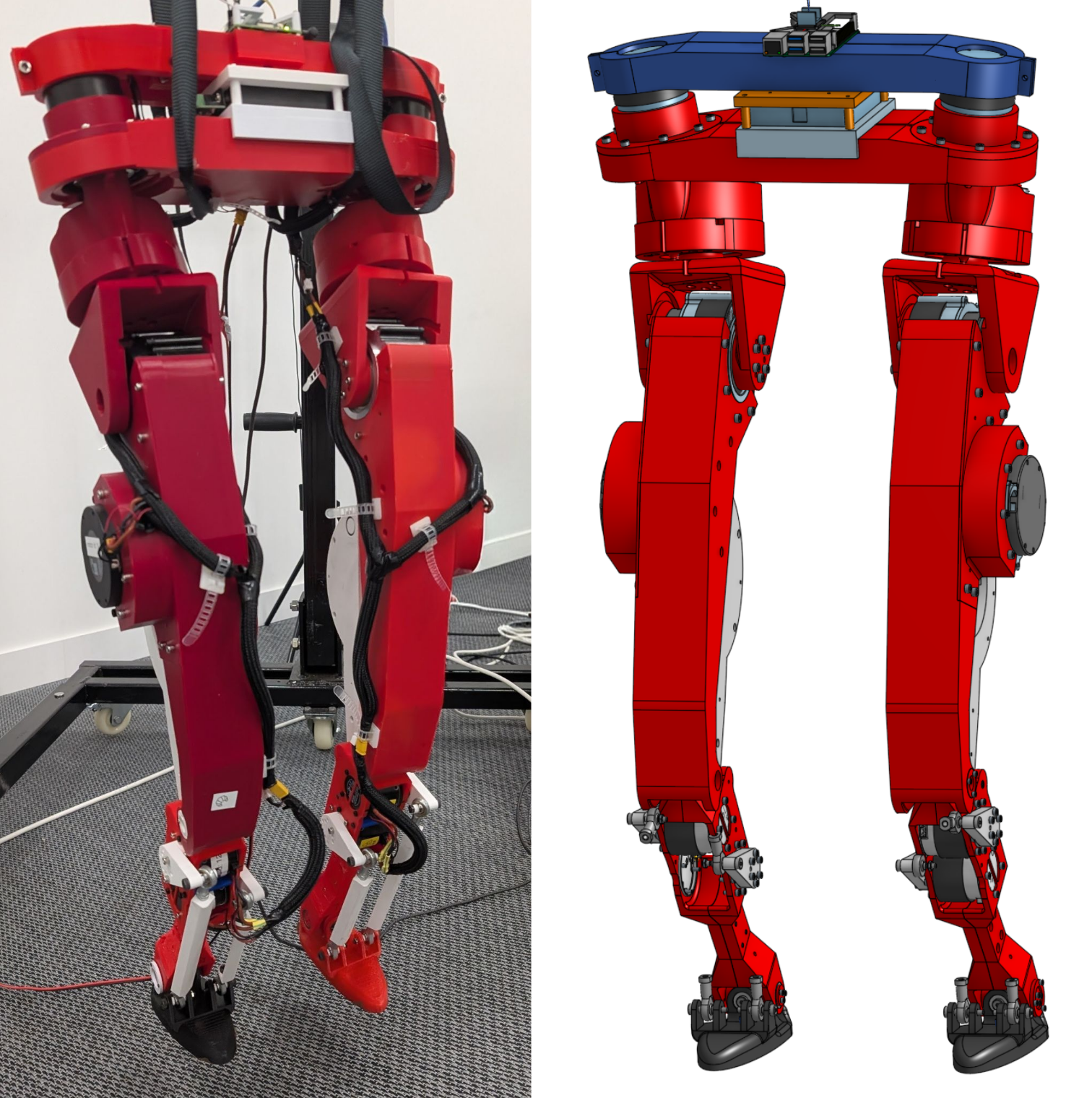 LeRobot Humanoid