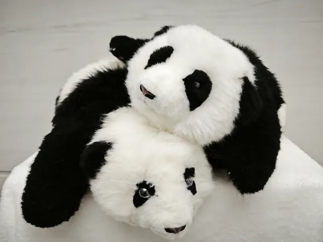 An'An Panda by Mind With Heart Robotics — Companions robot