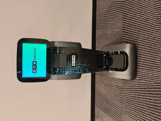 temi V3