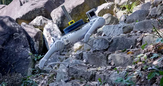 B2 by Unitree Robotics — Quadruped robot