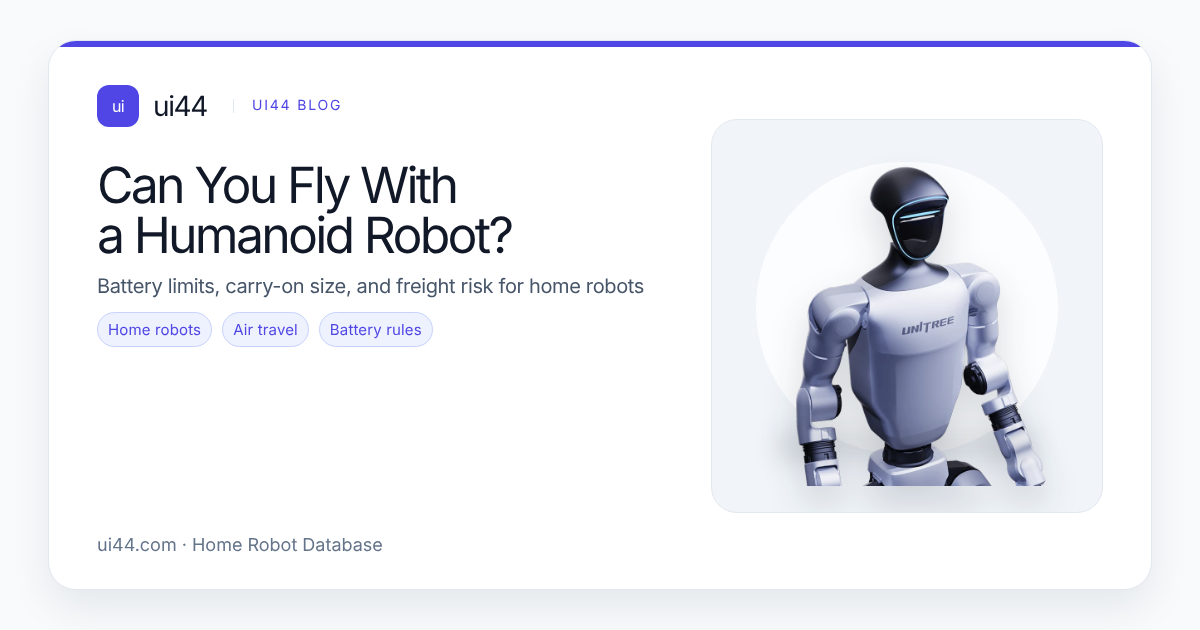 Can You Fly With a Humanoid Robot?